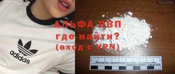 дживик Ельня