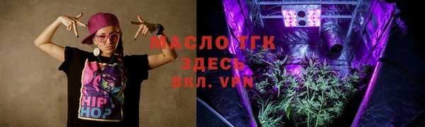 дживик Ельня