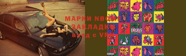 дживик Ельня