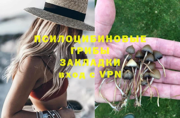 гидропоника Елабуга