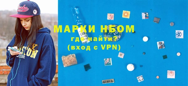дживик Ельня