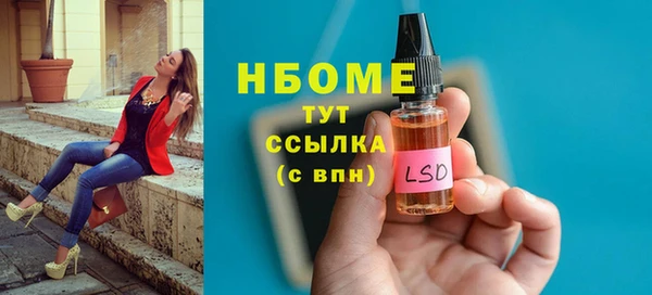 дживик Ельня