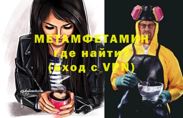 дживик Ельня