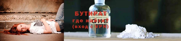дживик Ельня