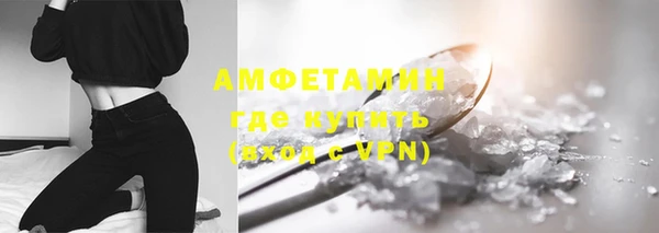 дживик Ельня