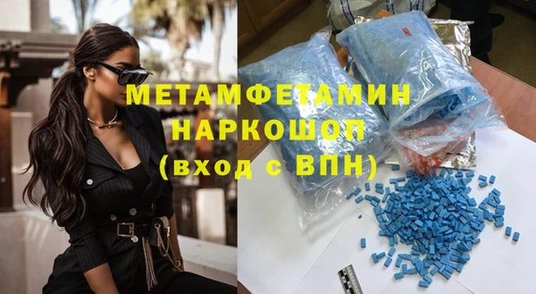 дживик Ельня