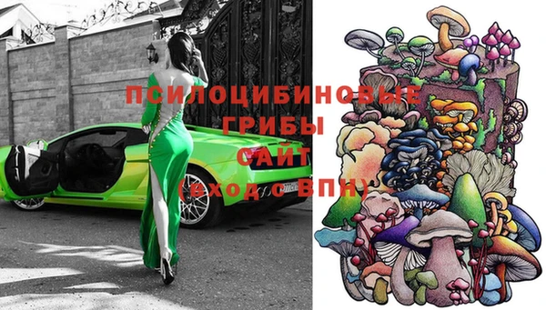 прущие крисы Елизово