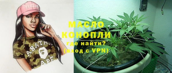 дживик Ельня