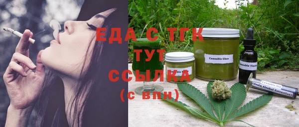 дживик Ельня
