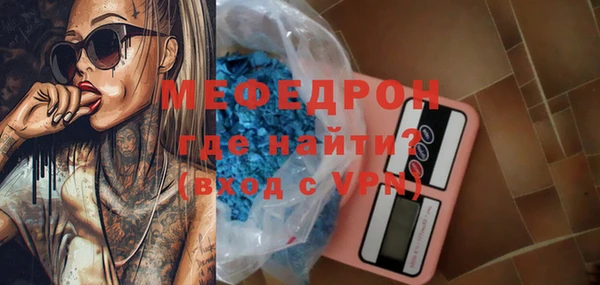 дживик Ельня