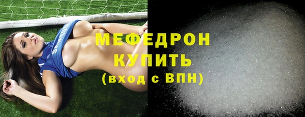 дживик Ельня