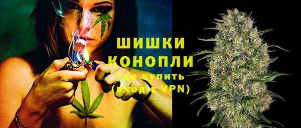 гидропоника Елабуга