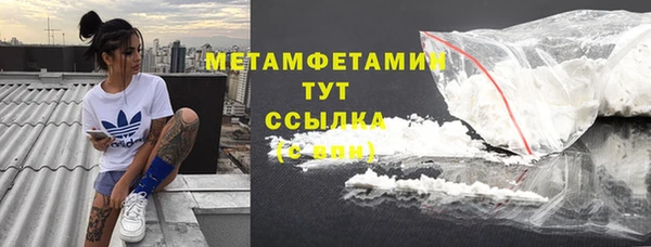 дживик Ельня