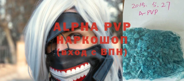 дживик Ельня