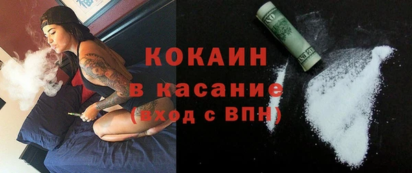 дживик Ельня