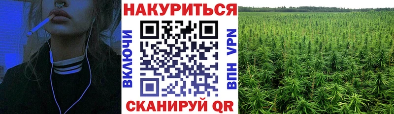 наркотики  Зарайск  Марихуана индика 